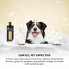 Groom Professional Mandarin and Rose Shampoo 450 ml