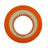 Reinica Luftfilter für Protool VCP 260 EH Lamellenfilter Staubfilter