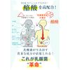 Kenko Iki Iki Club Lactic Acid Bacteria Revolution 330mg x 62 tablets