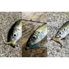 JACKALL Pekeling 2.0 Inch Demon Pearl