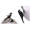 Purple Martin Attraction Bundle