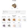 QinGoo Small Tortoise Shell Hair Clip, Hair Accessory, 2.0 inches (5.2 cm), Cute, Pulp Extraction, Korean (Cream)