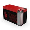 Mongoose Micro-3 12V 7Ah Electric Scooter Battery by Neptune - 2 pack