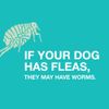 Chewable Quad Dewormer for Large Dogs, 45 Lbs and Over, 2 Chewable Tablets