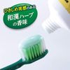 [Bulk Purchase] Hikishime Raw Leaves (Shouyo), Prevents Pyorrhea, Medicated Toothpaste, Japanese Chinese Herb Flavor, 3.5 oz (100 g) x 2 (Glasses Cleaner Included) (Quasi-Drug)