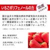 (Super Moisturizing) Strawberry Polyphenol Formulated Strawberry Drip Shampoo Non-Silicone
