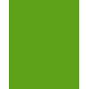 A4 Coloured Paper 50 Sheet Pack Colour (Intense Green)