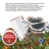 Organic Turkey Tail Mushroom Dietary Supplement