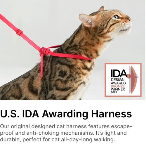 BuddyArmor Cat Harness and Leash 2-in-1, Escape Proof Anti-Chocking Harness Adjustable Lighweight Leash Walking Outoor Training for Kitten Small Large Cats Puppy, US IDA Bronze Award (Midnight Black)