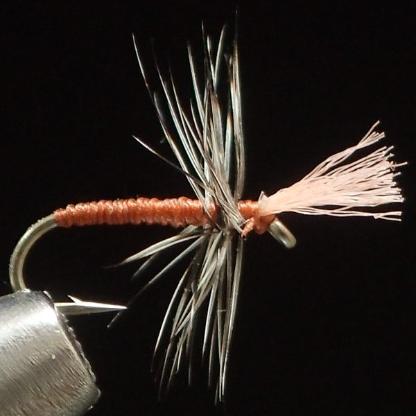 n-VISION Floating Midge Pupa (#20)