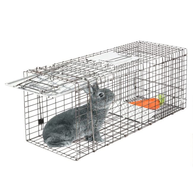 Humane Live Animal Trap Catch & Release Steel Cage for Rat Rabbits Cats  Squirrel