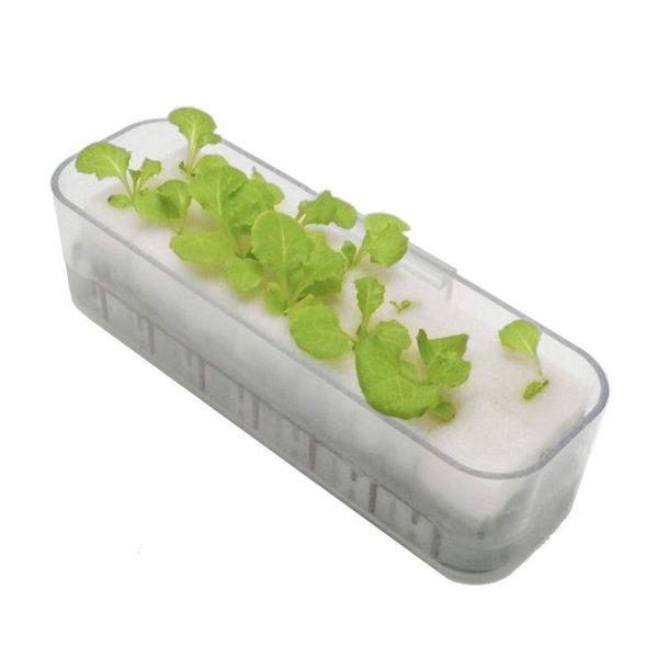 Living Farm Leaf Lettuce, Hydroponic Cultivation, Seedling Making Kit (with seeds)