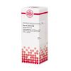 Flor de Piedra D6 DHU Dilution, 20 ml Lösung