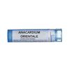 Boiron Anacardium orientale 12C for Indigestion from Overeating - 80 Pellets
