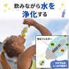 DAFI Water Purification Filter for Water Bottles, Activated Carbon, 2 Cartridges + 1 Cap, Genuine Japanese Specifications, Light Gray
