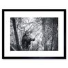 Deer Head Antlers Forest Framed Wall Art Print