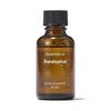 MUJI OCG76A4A Essential Oil Eucalyptus 1.0 fl oz (30 ml)