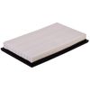 Premium Guard PA4278 Air Filter