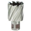 Rotabroach Raptor 15mm M2 Standard Cutter