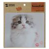 sanwasapurai Animal Mouse Pad Scottish Fold Cat MPD – 215E