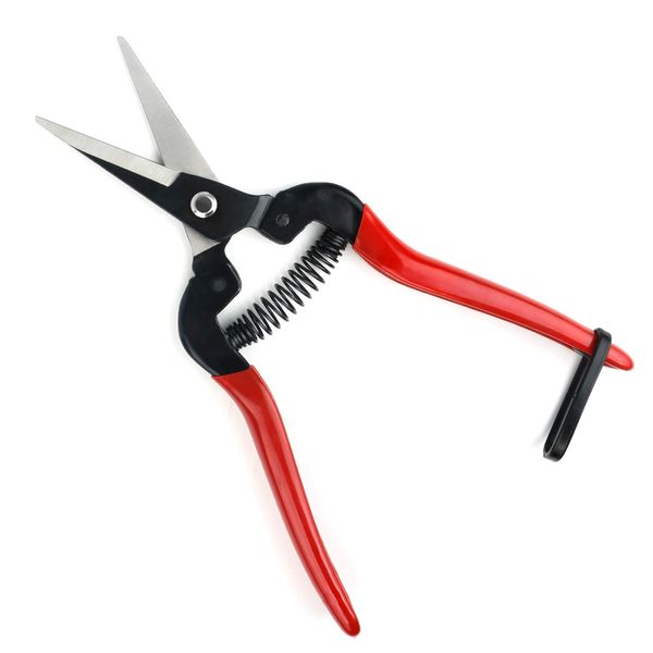 FLORA GUARD Pruning Shears, Micro-Tip Pruning Snip Straight Garden Scissors Florist Scissor with Carbon Steel Blades for Arranging Flowers, Trimming Plants