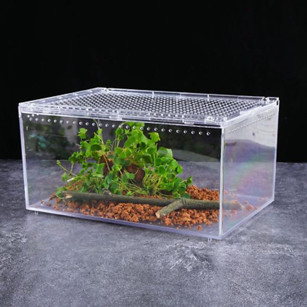 Terrarium Clear Acrylic Reptile Terrarium Enclosure, 12"" X 8"" X 6"" Reptile In