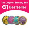 Edushape Senso-Dot Balls Pack of 4 (Colours Vary)