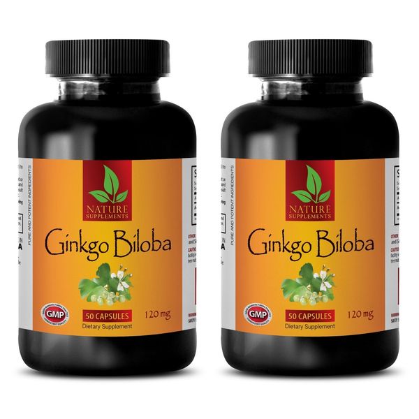 Baiguo Extract - GINKGO BILOBA EXTRACT 120mg - Anti-Aging 2B