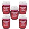 Bath & Body Works Japanese Cherry Blossom 5-Pack PocketBac Sanitizers Anti-Bacterial Hand Gel 1 Fl Oz