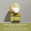 I'm from MUGWORT Magwart Face Cream, Moisturizing Cream, Sensitive Skin, Rough Skin, Mugwort (Feels Skin Moisturized), 1.8 oz (50 g), Genuine Japanese Product