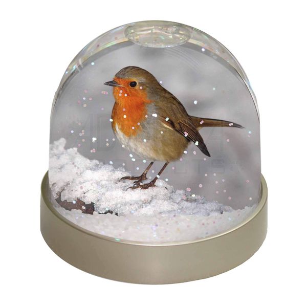 Advanta Group Robin on Snow Wall Photo Snow Globe Waterball