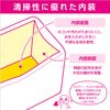 Hakuba 2KCS-40-200BK Camera Case, Inner Softbox 02 200, Adjustable Dividers, Side Handle & Removable Lid, Black