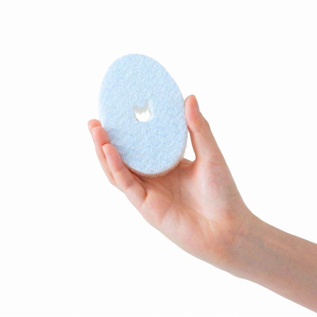 necoichi Dish Sponge that removes null stains cleanly without detergent, 2 pack