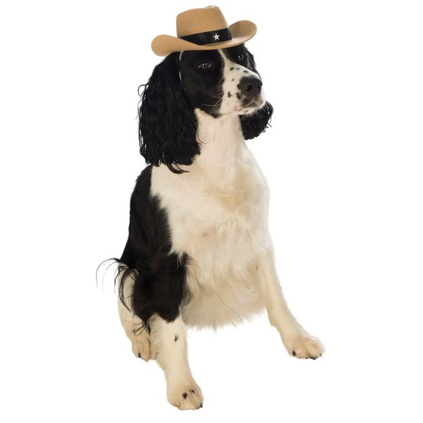 Rubie's Brown Cowboy Hat for Pets, Medium/Large