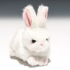 Bubble Locations Violinist (A) Rabbit White