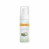Facial Care Gentle Foaming Cleanser  4.8 Oz By Burts Bees