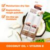 Palmers Coconut Oil Protec and Hydrate Kit 2 x 0.5oz Lip Moisturizer Unisex 2 Pc