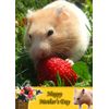 Hamster Animal Mothers Day Card