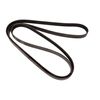 Continental 4061203 OE Technology Series Multi-V Belt