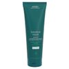 AVEDA (0A0ID) BR Int.Strength. Masque - Light 350 ml