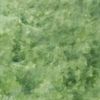 Water-Based Concrete Stain Walttools 1 QUART Pro-Grade Eco-Friendly (Evergreen)