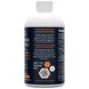 Health Logics Organic Pumpkin Seed Oil