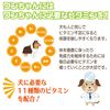 Hyundai Pharmaceutical Vitamin Plus