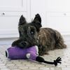 Play Dog Toy Splash Hair Dryer