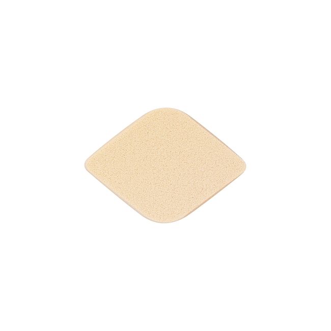 est estmake up sponge case pear 1