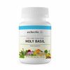 Holy Basil  90 Caps By Eclectic Herb