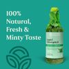Liquid Chlorophyll - Immunity Support, Detox & Cleanse, Chlorophyll Liquid Drops