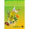 Jamaican Mango & Lime - Island Oil - 236.57ml