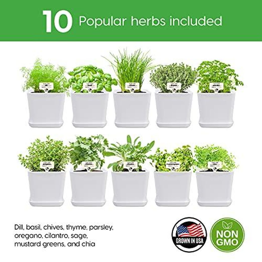Windowsill Herb Garden Kit Herb Planter Comes Complete with a 10 Variety Non GMO Heirloom Herb Seed Collection & Herb Pots.