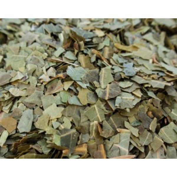 Bulk Herbs: Neem Leaf (Organic)